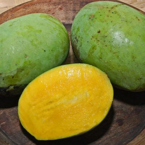 Le kuweni - Xoài thơm - Le manguier odorant